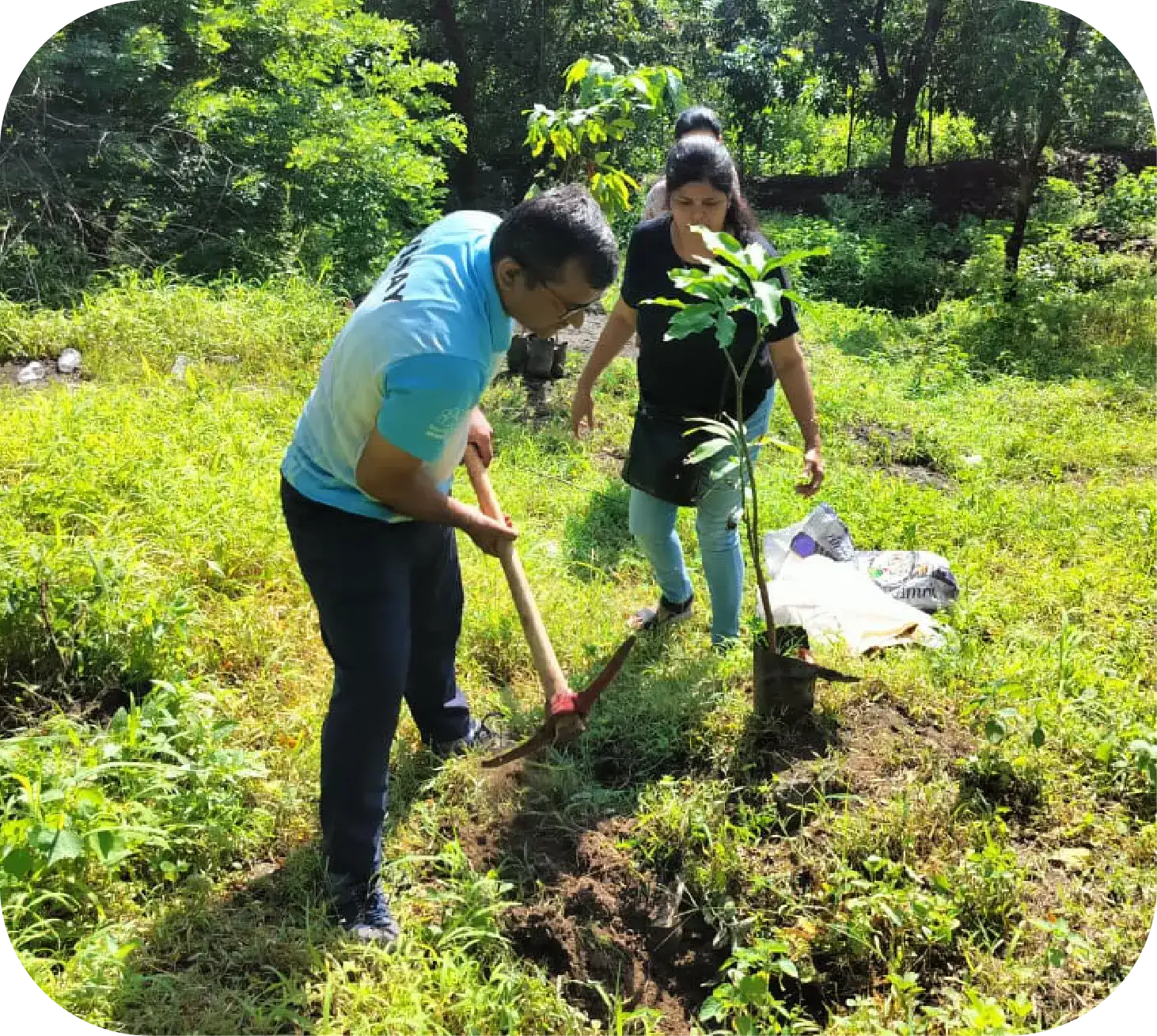 Corporate volunteers participating in tree plantation drive